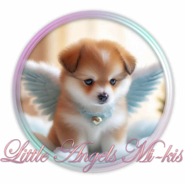 Little Angels Mikis