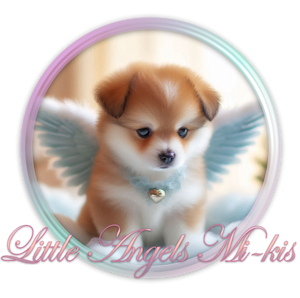 Little Angels Mikis